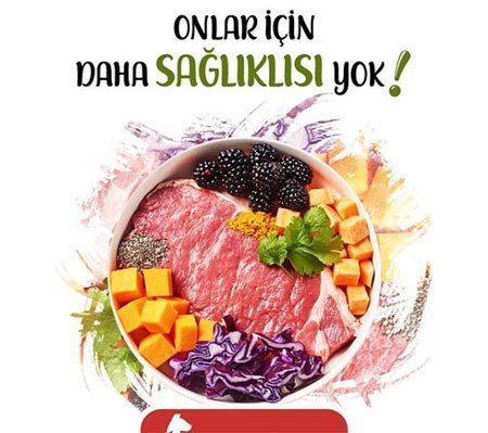 Çiğ Beslenme Diyeti Nedir? Nasıl Yapılır? 1