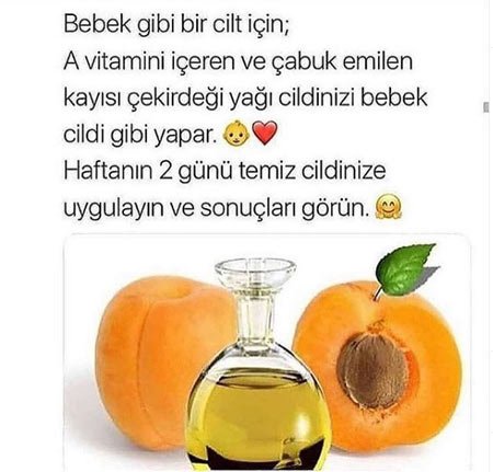 Kayısı Yağının En Önemli 5 Faydası  1