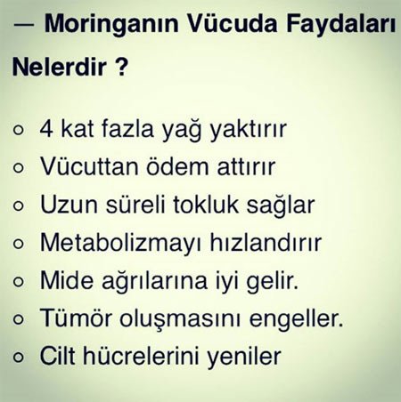 Moringa Yağının Cilde Faydaları Nelerdir? 1