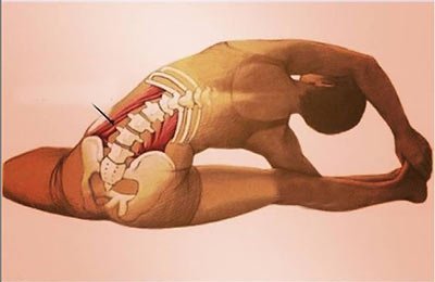 Dorsaliji Nedir? 2 dorsaliji nedir