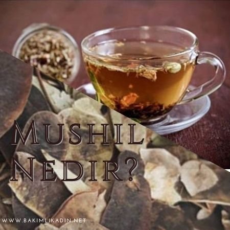 mushilnedir