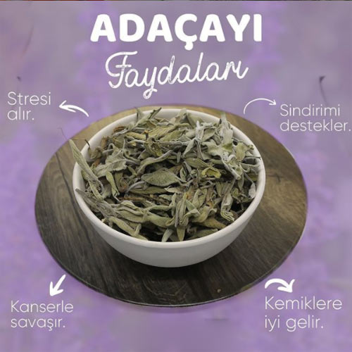 Adaçayı Nedir ? Adaçayı Tarifi ve Adaçayının Faydaları 3