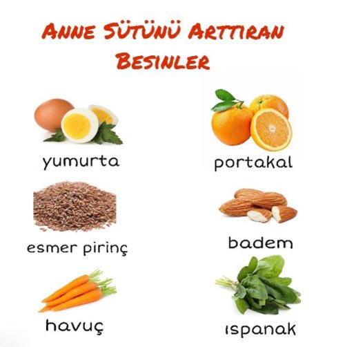 Anne Sütü Nasıl Artar? Anne Sütünü Arttıran 32 Yiyecek 2