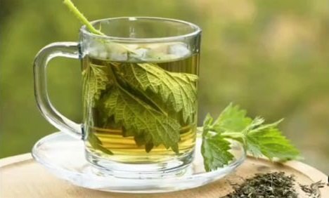 Isırgan Otu Çayının Faydaları ve Isırgan Otu Çayı Tarifi 2