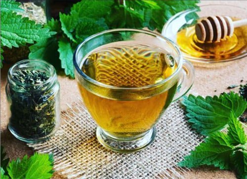 Isırgan Otu Çayının Faydaları ve Isırgan Otu Çayı Tarifi 3