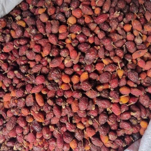Kuşburnu Çayının Faydaları ve Kuşburnu Çayı Tarifi 2