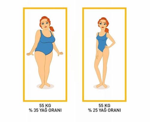 Kadınlarda Vücut Yağ Oranı ve Örnek Fotoğraflar 2