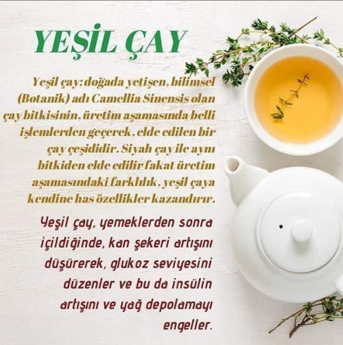 Yeşil Çayın Faydaları -Yeşil Çay Nedir ? Yeşil Çay Nasıl Yapılır ? 1