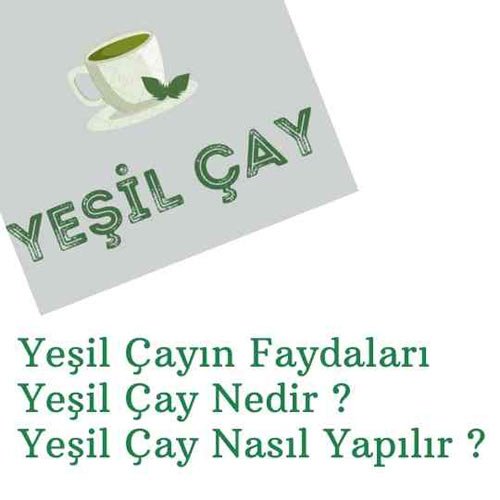Yeşil Çayın Faydaları