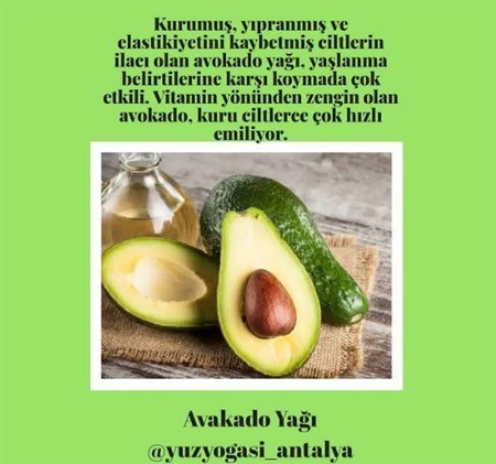 Avokado yağı 