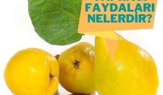 Ayva-Yapragi-Faydalari