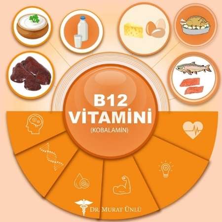 B12 Vitamini Yönünden Zengin Olan Besinler 1