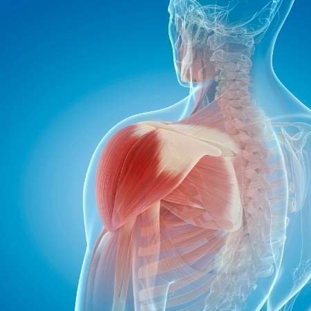 Kolajen Nedir? Etkileri Nelerdir? 8 Kolajen Nedir? Etkileri Nelerdir? 7