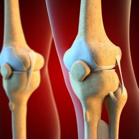 Kolajen Nedir? Etkileri Nelerdir? 7 Kolajen Nedir? Etkileri Nelerdir? 6
