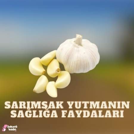 Sarımsak Yutmanın Faydaları Nelerdir? 1