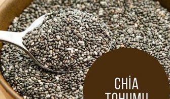 chiatohumu1