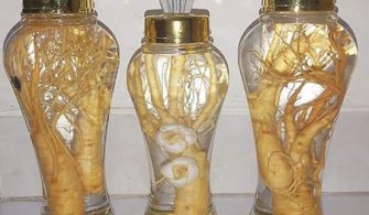 ginseng