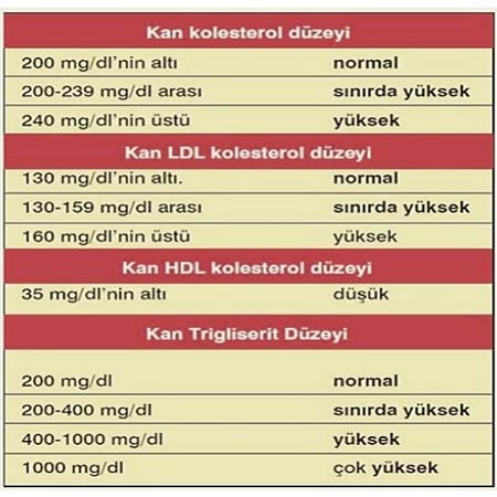 Kolesterol Nedir? Kolestrole İyi Gelen 5 Yöntem! 1