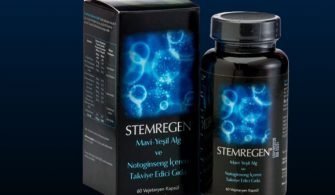 stemregen_001