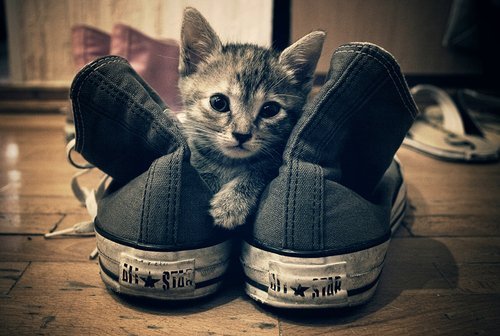 30 Modası Geçmeyen Converse Ayakkabı Modelleri 27