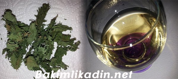 Isırgan Otu Çayının Faydaları ve Isırgan Otu Çayı Tarifi 1