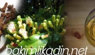 karanfil_cayi