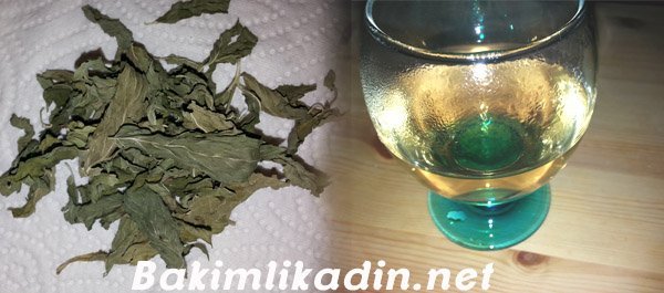 Nane Çayının Faydaları ve Nane Çayı Tarifi 1