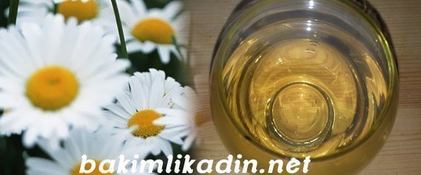 Papatya Çayının Faydaları ve Papatya Çayı Tarifi 1