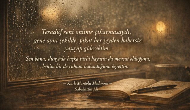 kürk mantolu madonna alıntı